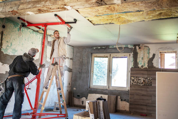 Best Insulation Maintenance and Repair in Walnut Hill, TN