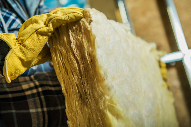 Best Residential Insulation in Walnut Hill, TN