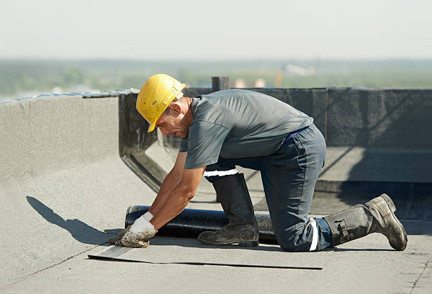 Best Insulation Maintenance and Repair in Walnut Hill, TN